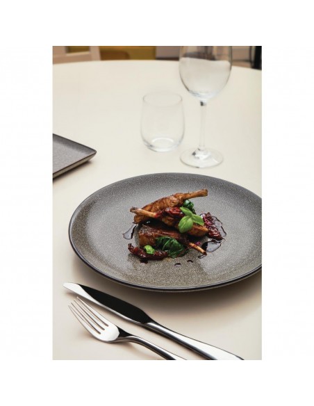 Olympia Mineral Coupe Plate 230mm