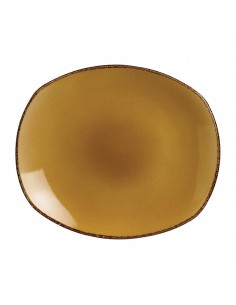 Steelite Terramesa Mustard Spice Plates 305mm