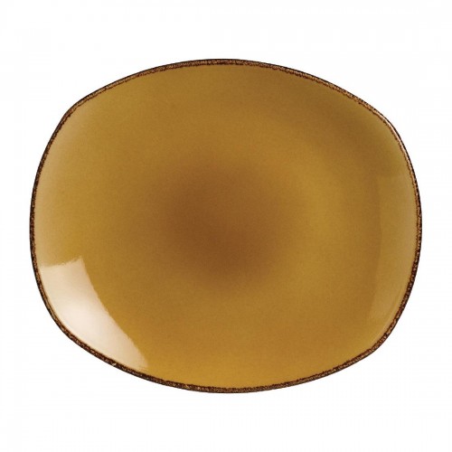 Steelite Terramesa Mustard Spice Plates 255mm