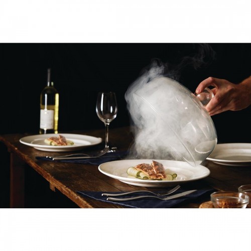 PolyScience Smoking Gun