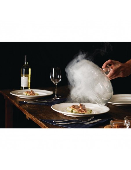 PolyScience Smoking Gun