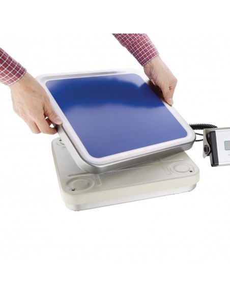 Weighstation Electric Bench Scales 30kg