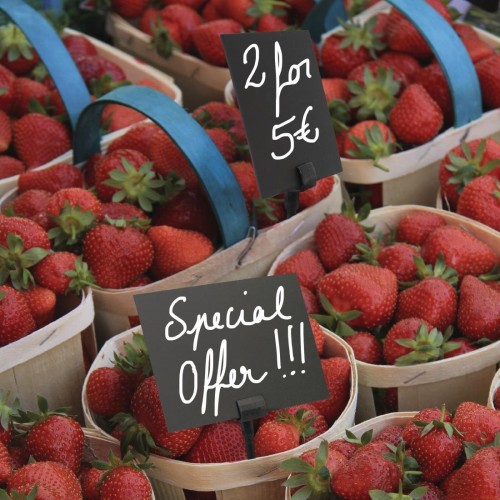 Securit Spare Spikes for CL310 Tags