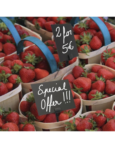 Securit Spare Spikes for CL310 Tags