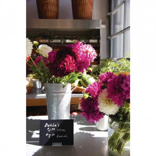 Securit Spare Holders for CL310 Tags