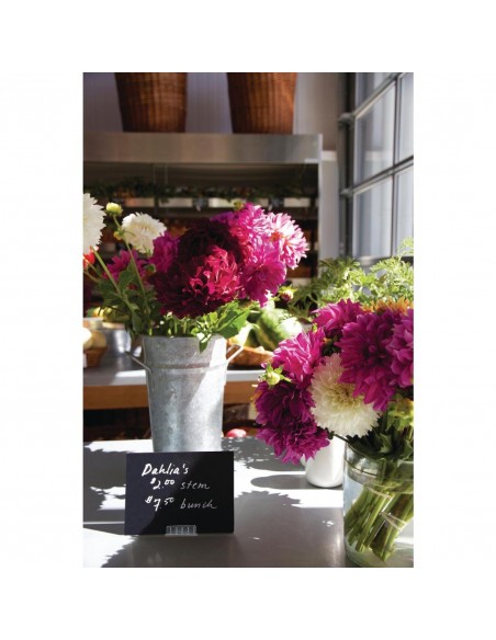 Securit Spare Holders for CL310 Tags