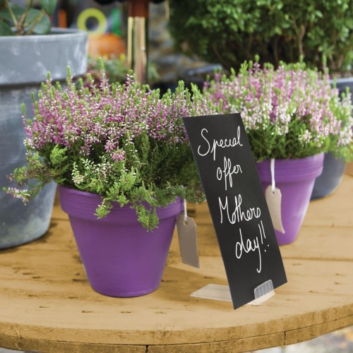 Securit Spare Holders for CL310 Tags