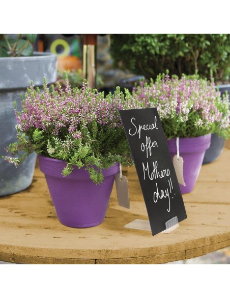 Securit Spare Holders for CL310 Tags