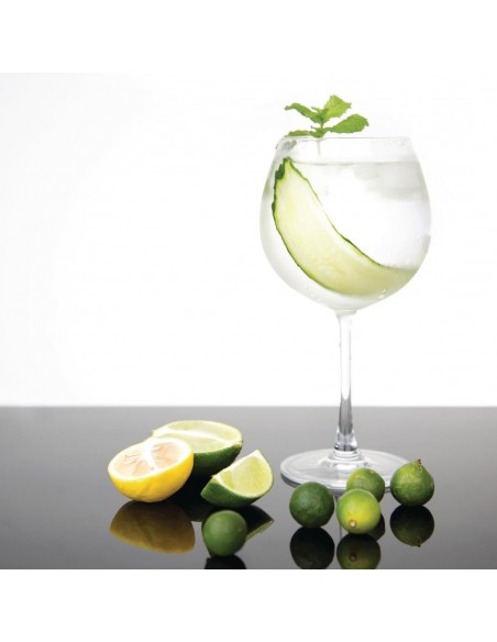Olympia Bar Collection Crystal Gin Glasses 645ml