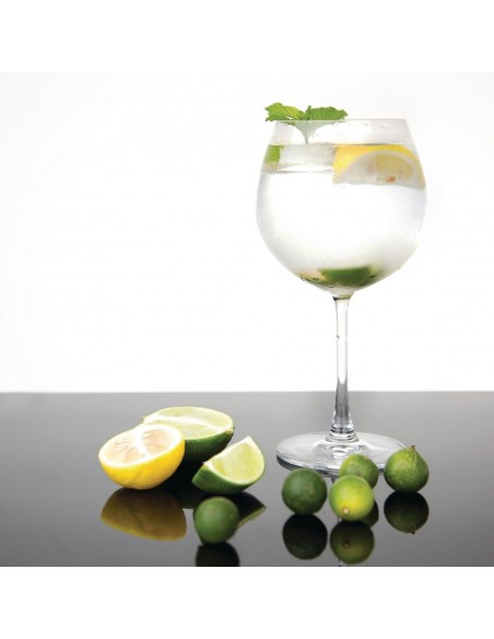 Olympia Bar Collection Crystal Gin Glasses 645ml