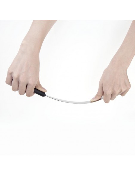 Hygiplas Straight Blade Palette Knife Black 25.5cm