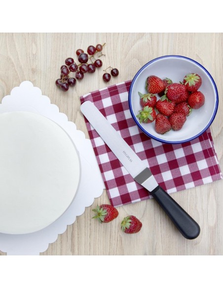 Hygiplas Angled Blade Palette Knife Black 19cm