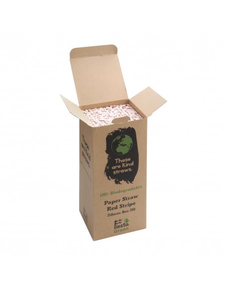 Fiesta Green Biodegradable Paper Straws Red Stripes