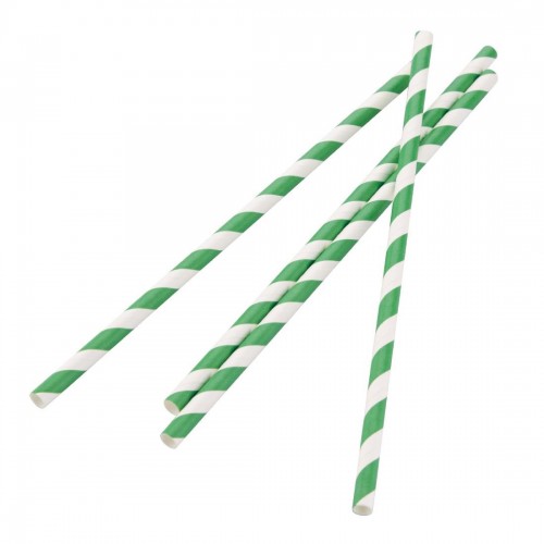Fiesta Green Biodegradable Paper Straws Green Stripes