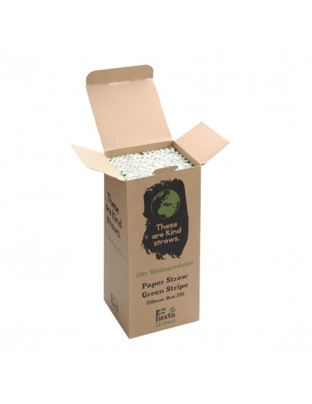 Fiesta Green Biodegradable Paper Straws Green Stripes