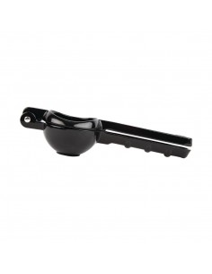 Lemon and Lime Press 2