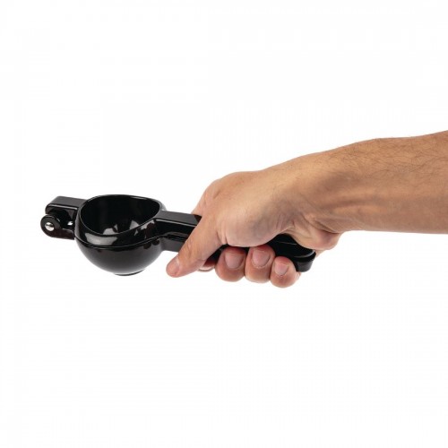 Lemon and Lime Press