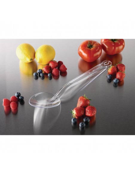 Matfer Exoglass Serving Spoon Clear 13"