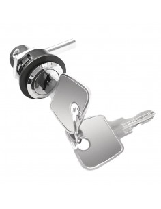 Buffalo Lock  Key
