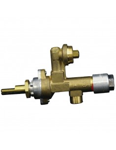 Gas Valve
