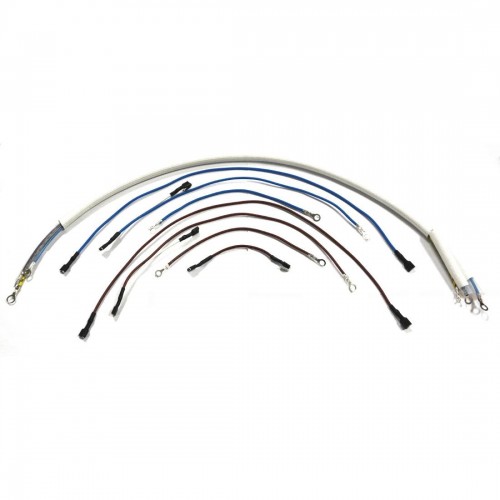 Buffalo Wiring Loom