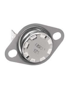 Buffalo Thermostat Fits CW146