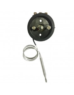 Buffalo Thermostat