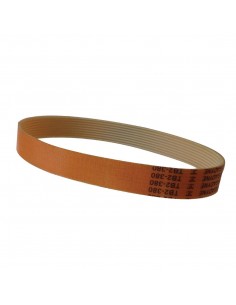 Buffalo Belt