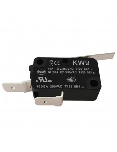 Buffalo Micro Switch 
