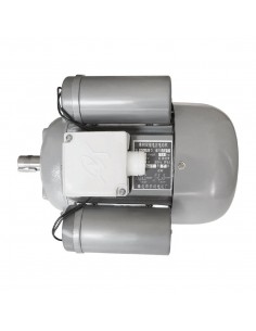 Buffalo Motor Fits CP821