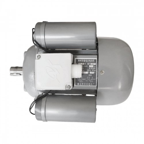 Buffalo Motor Fits CP821