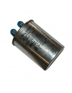 Polar Capacitor
