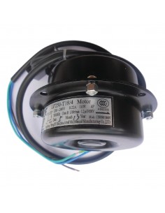 Polar Condenser Fan Motor 2