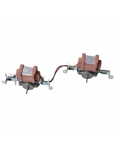 Polar Fan Motor