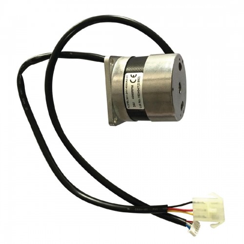 Polar Gear Motor