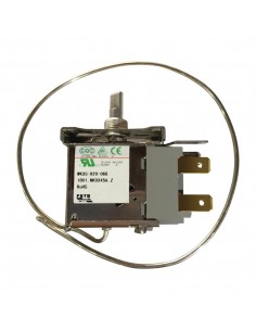 Polar Thermostat