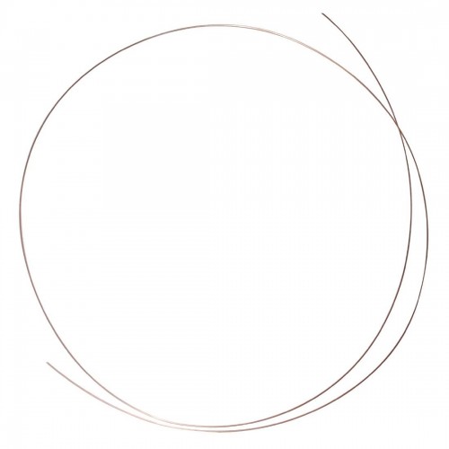 Capillary