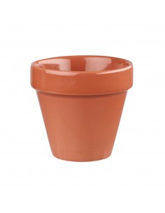 Churchill Bit On The Side Plant Pot Paprika 17oz