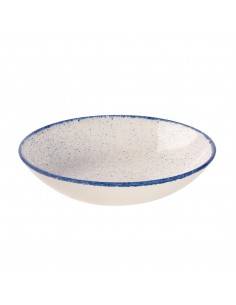 Churchill Super Vitrified Churchill Stonecast Hints Coupe Bowls  2