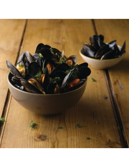 Churchill Stonecast Noodle Bowls Grey 37.8oz 183mm