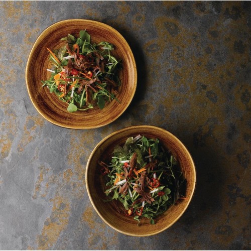 Churchill Stonecast Patina Organic Round Plates Vintage Copper 1