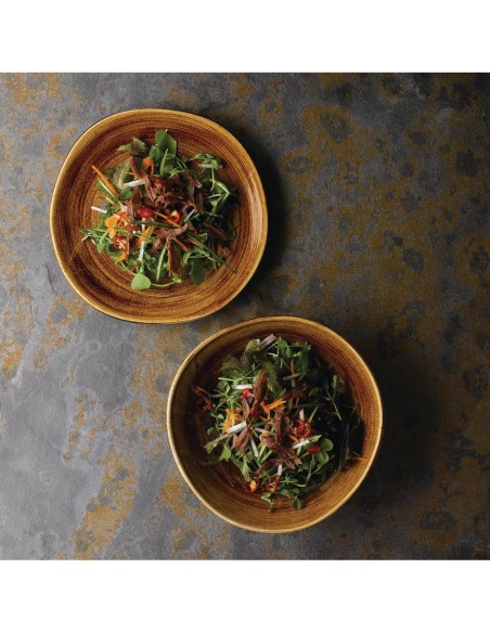 Churchill Stonecast Patina Organic Round Plates Vintage Copper 1