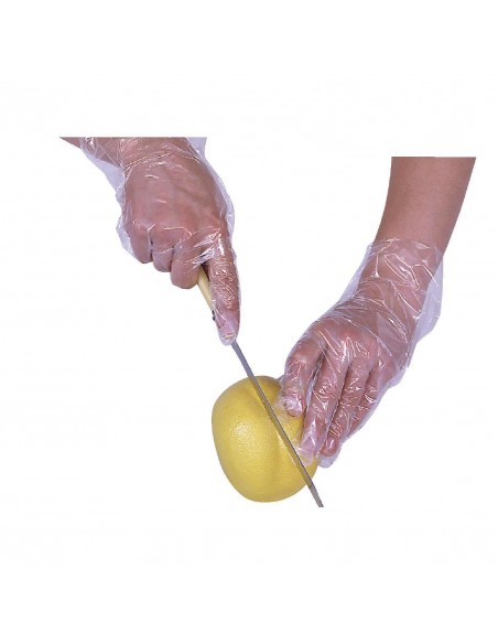 Disposable Gloves Clear