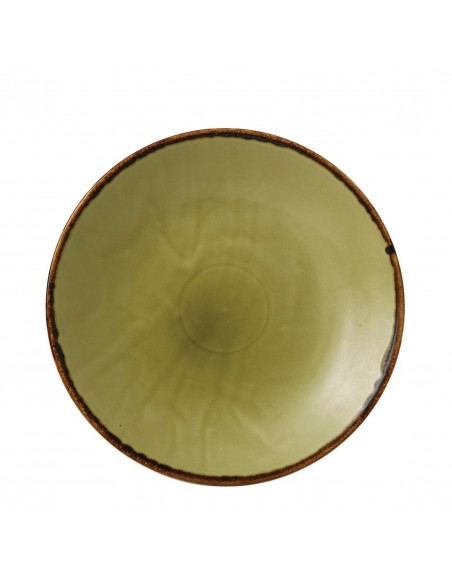 Dudson Harvest Deep Coupe Plates Green 255mm