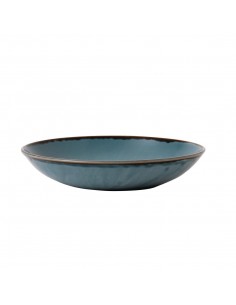 Dudson Harvest Evolve Coupe Bowls Blue 248mm 2