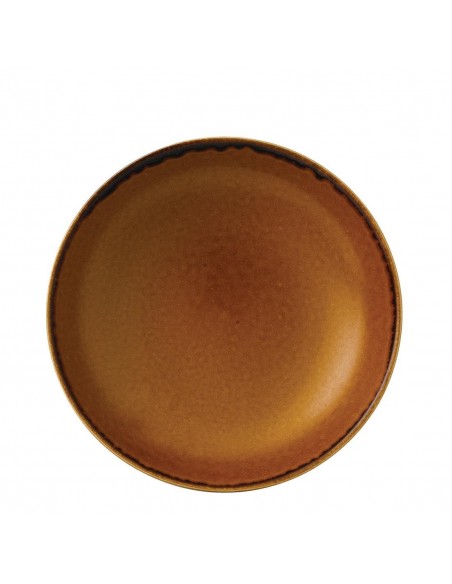 Dudson Harvest Evolve Coupe Bowls Brown 248mm