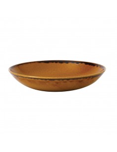 Dudson Harvest Evolve Coupe Bowls Brown 248mm 2