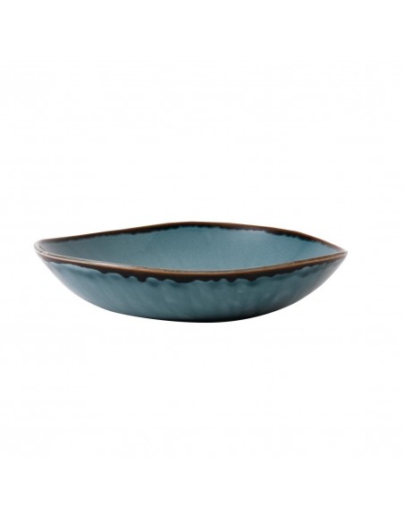 Dudson Harvest Trace Organic Bowls Blue 253mm