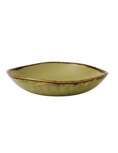 Dudson Harvest Trace Organic Bowls Green 253mm 2