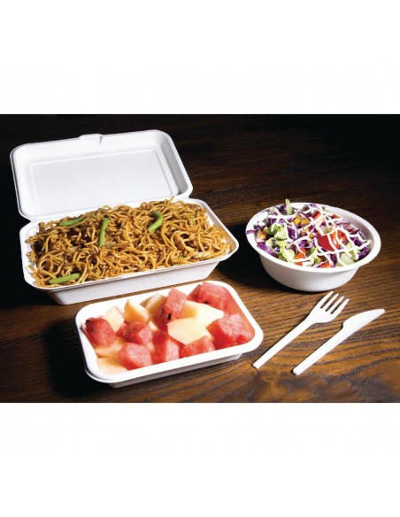 Fiesta Green Compostable Bagasse Hinged Food Containers 248mm